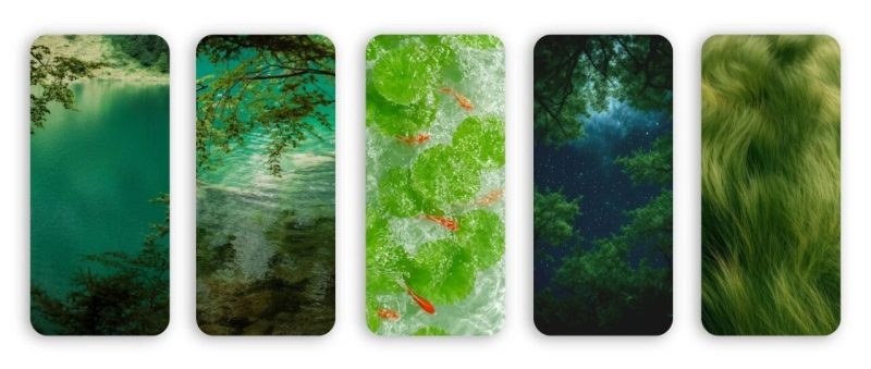 极度舒适绿色养眼风景手机壁纸-淘零网