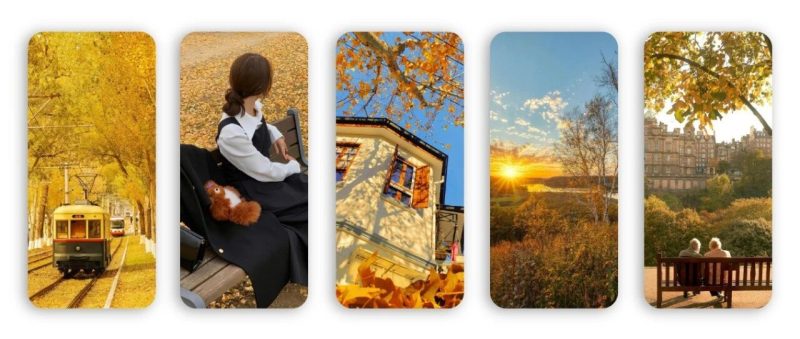 金色的秋天 美景手机壁纸一组-淘零网