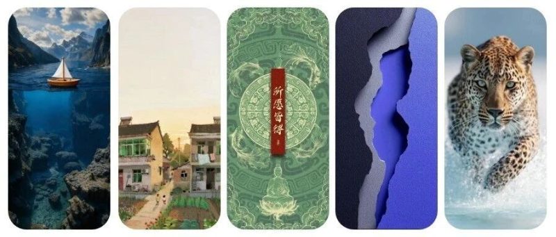 自能生羽翼 何须仰云梯丨高清壁纸-淘零网