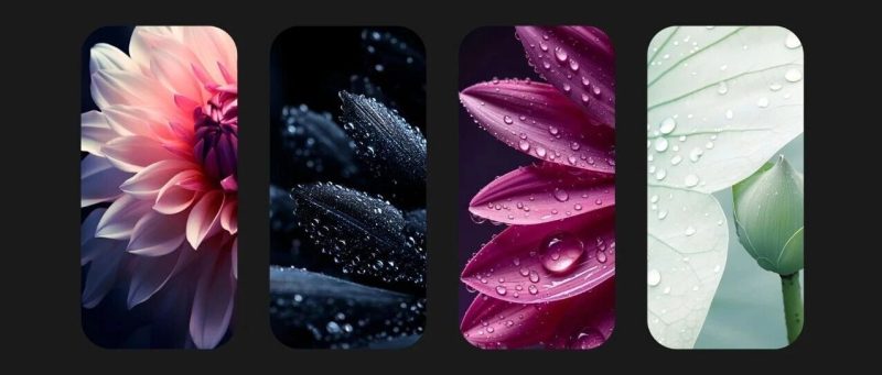 8k高清| 令人惊叹 超高清壁纸-淘零网