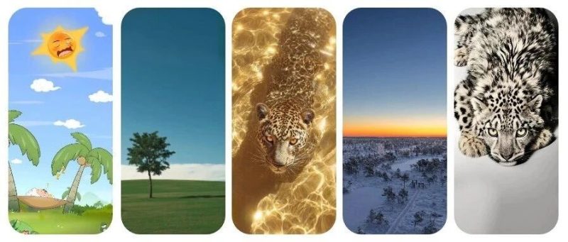 盼我多金也盼我开心丨高清壁纸-淘零网