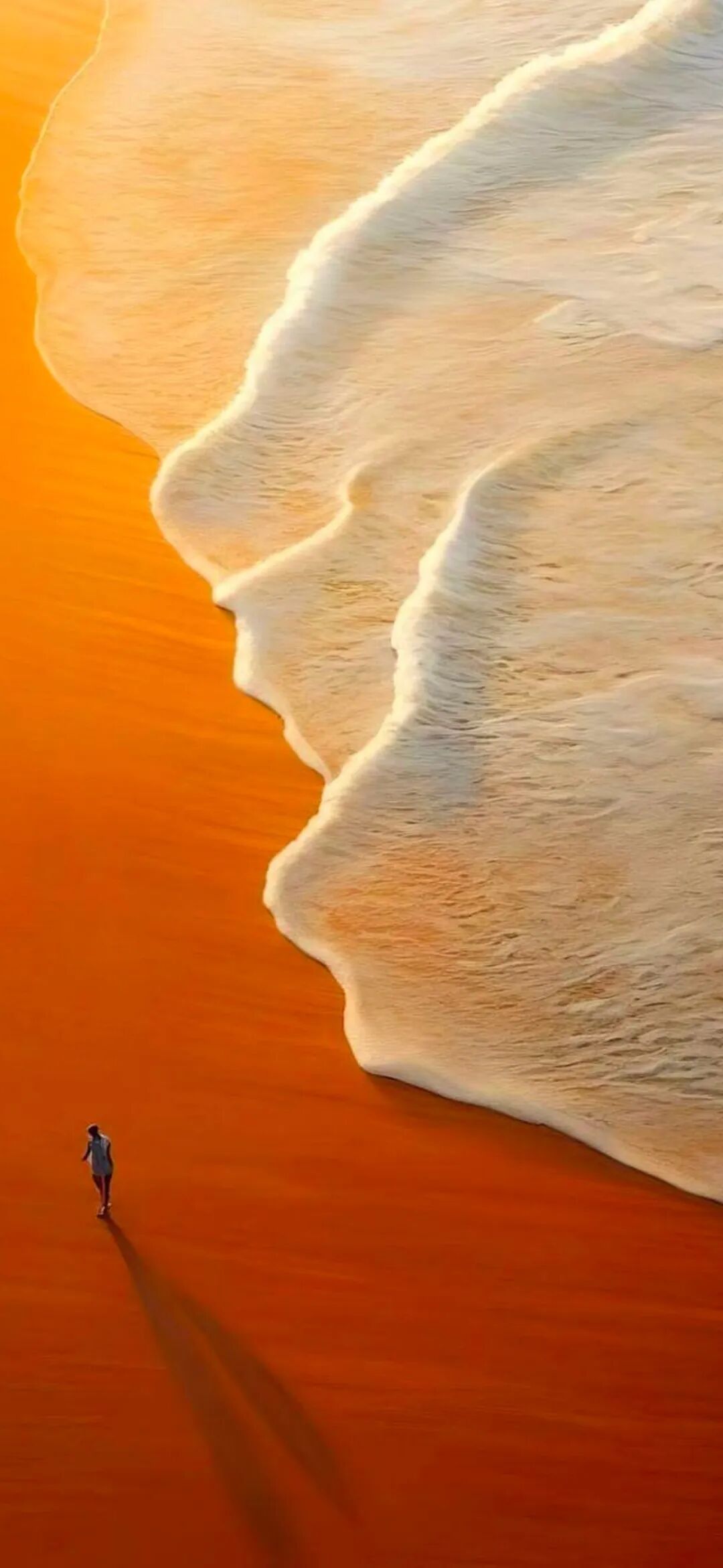 图片[11]-自能生羽翼 何须仰云梯丨高清壁纸-淘零网