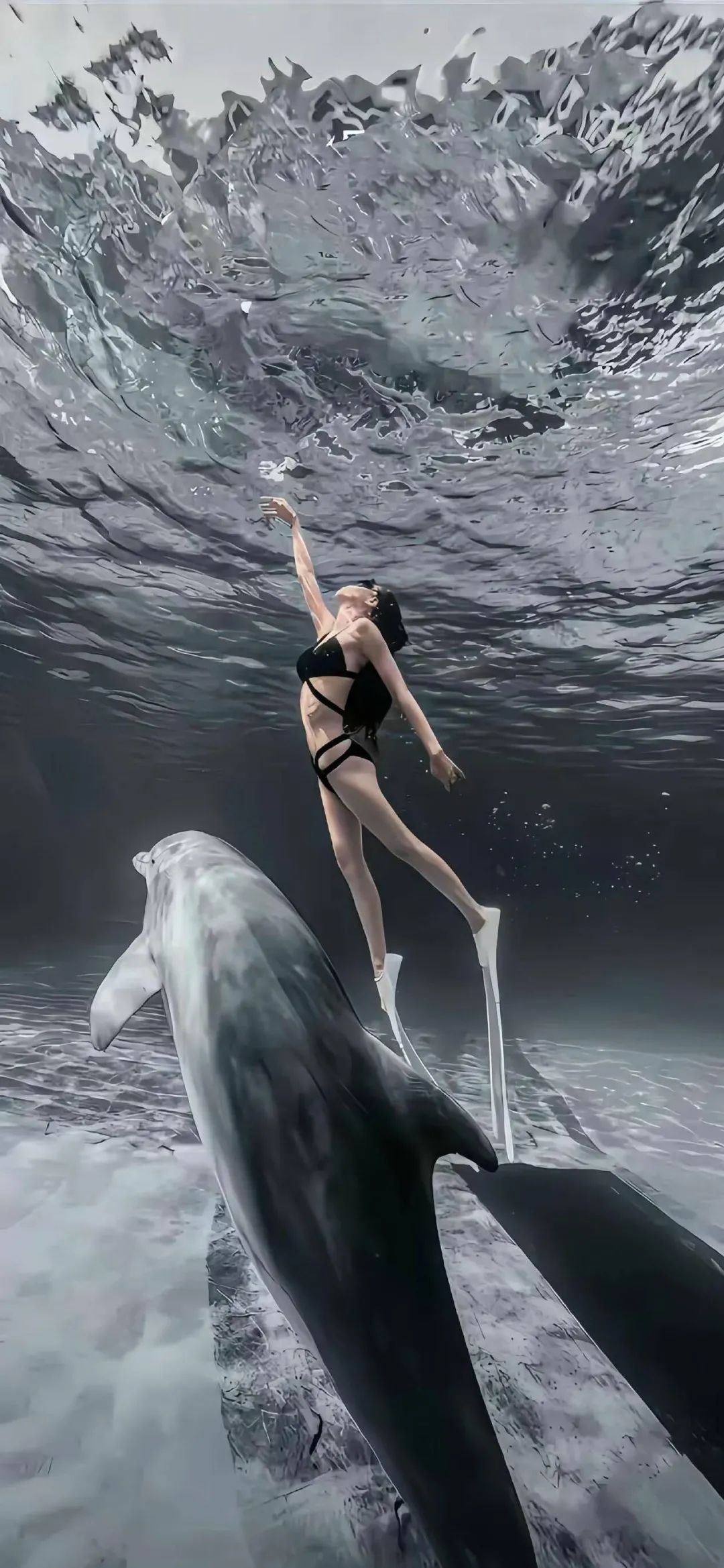 图片[1]-𝐖𝐚𝐥𝐥𝐩𝐚𝐩𝐞𝐫高清壁纸 | 祝我们好在此刻-淘零网