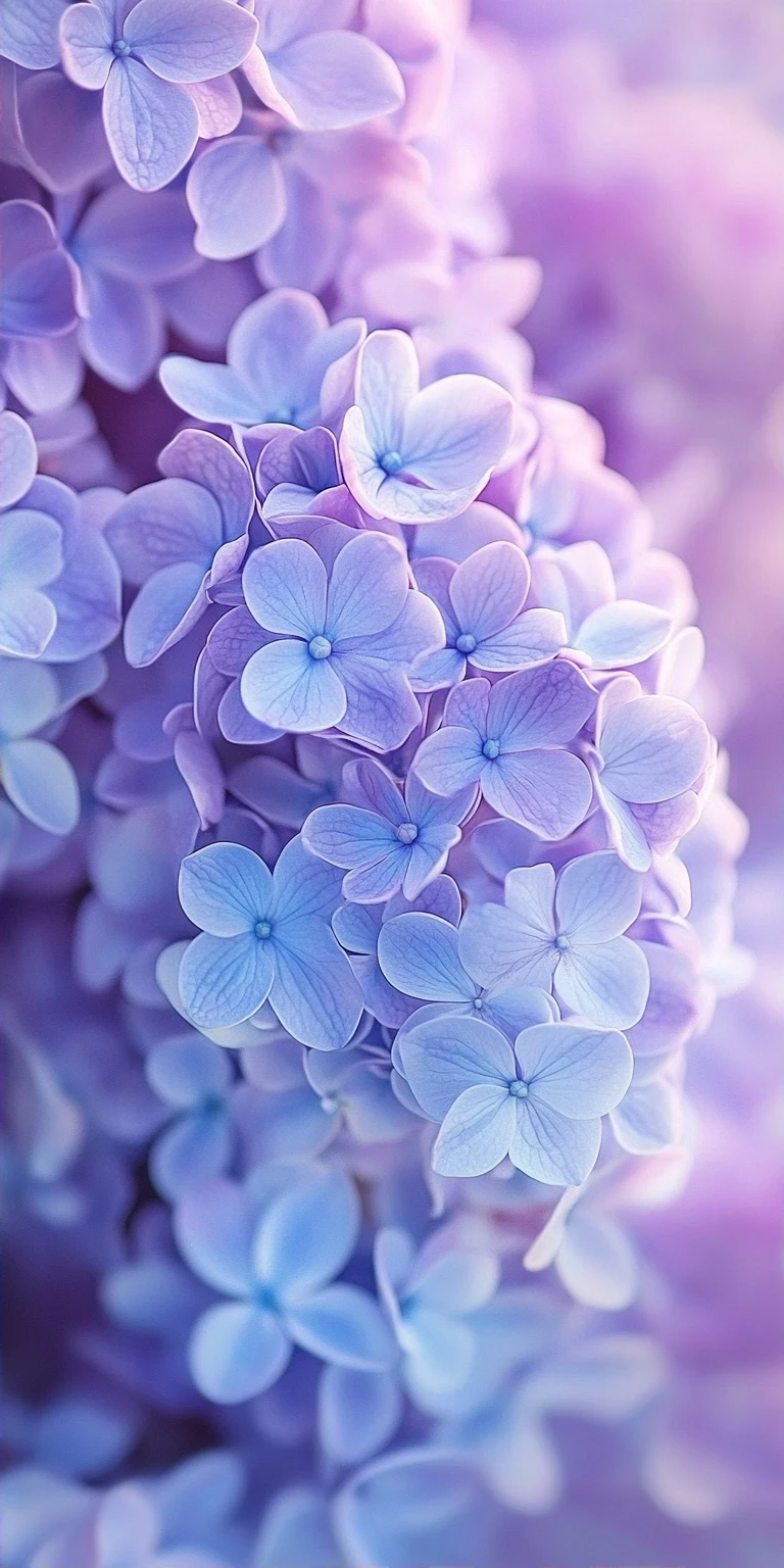 图片[3]-粉色花漾手机壁纸，让屏幕绽放温柔-淘零网