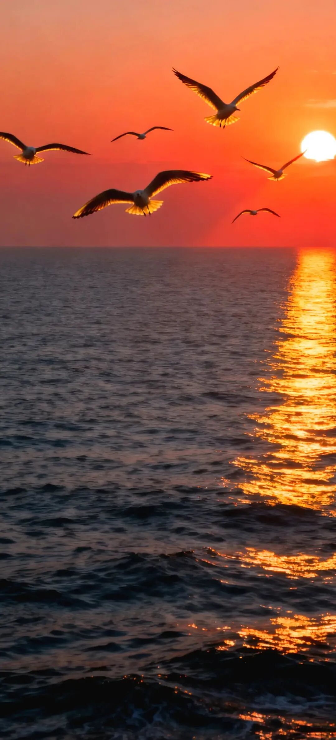 图片[6]-海天一色，超美壁纸-淘零网