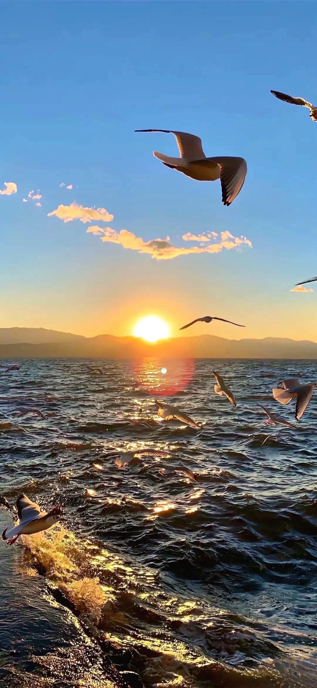 图片[7]-海天一色，超美壁纸-淘零网