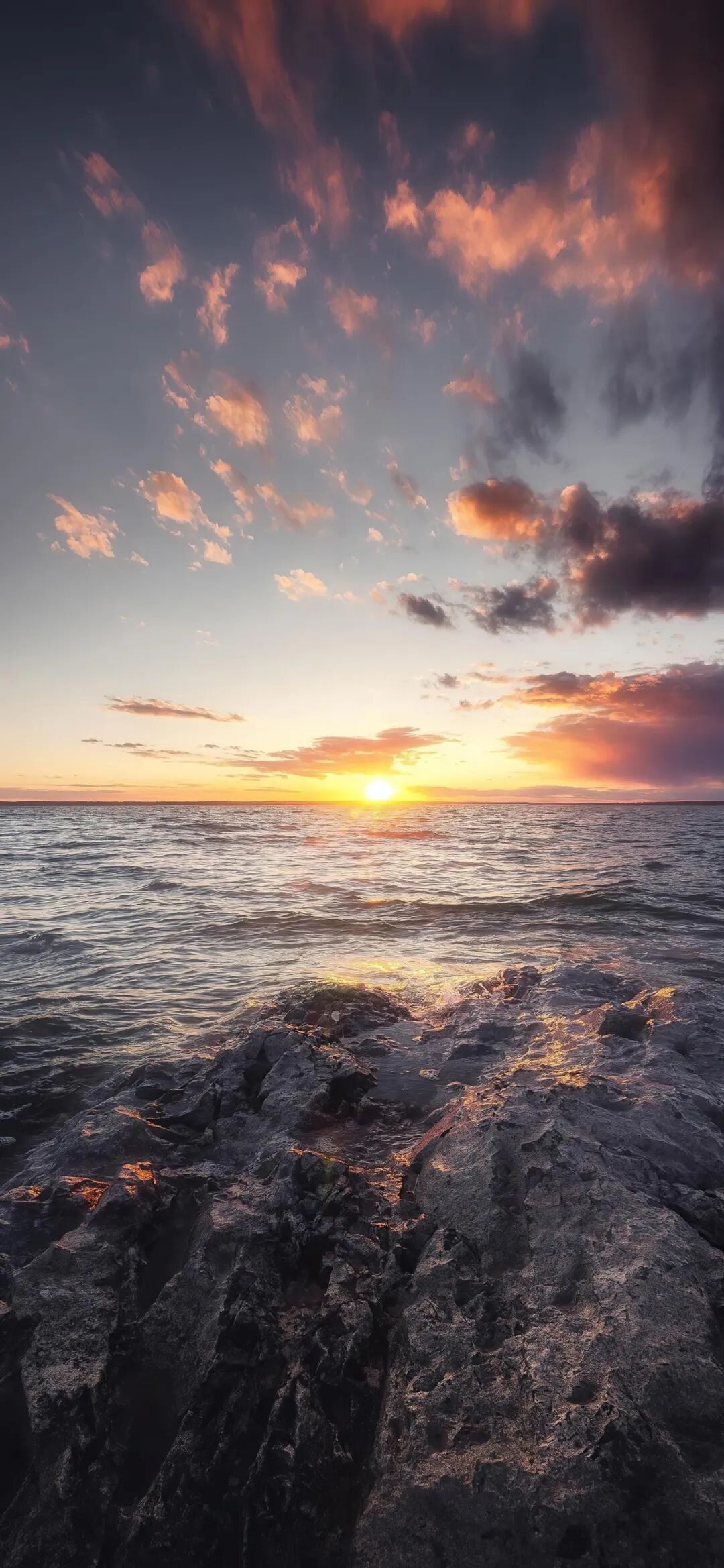 图片[3]-鸿运当头丨高清壁纸-淘零网