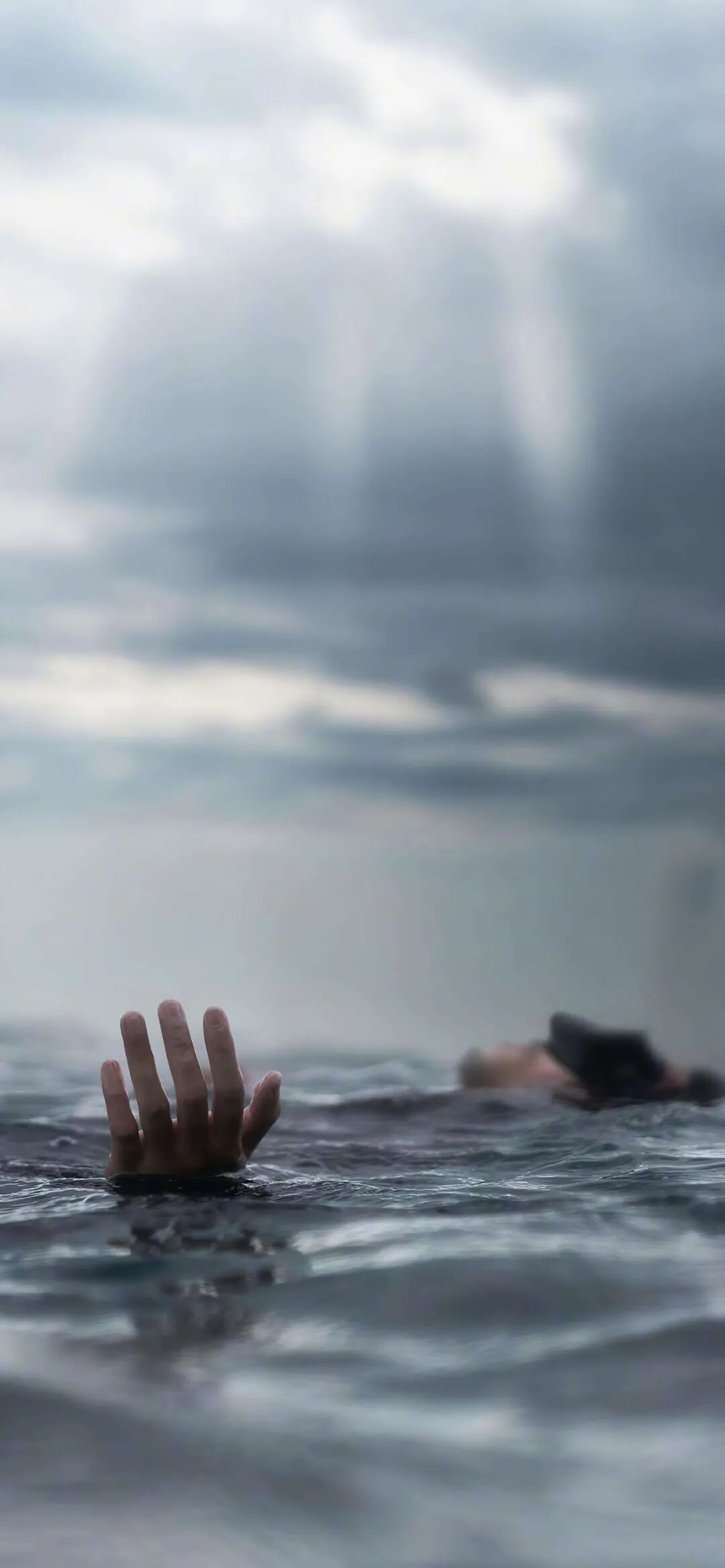 图片[4]-鸿运当头丨高清壁纸-淘零网