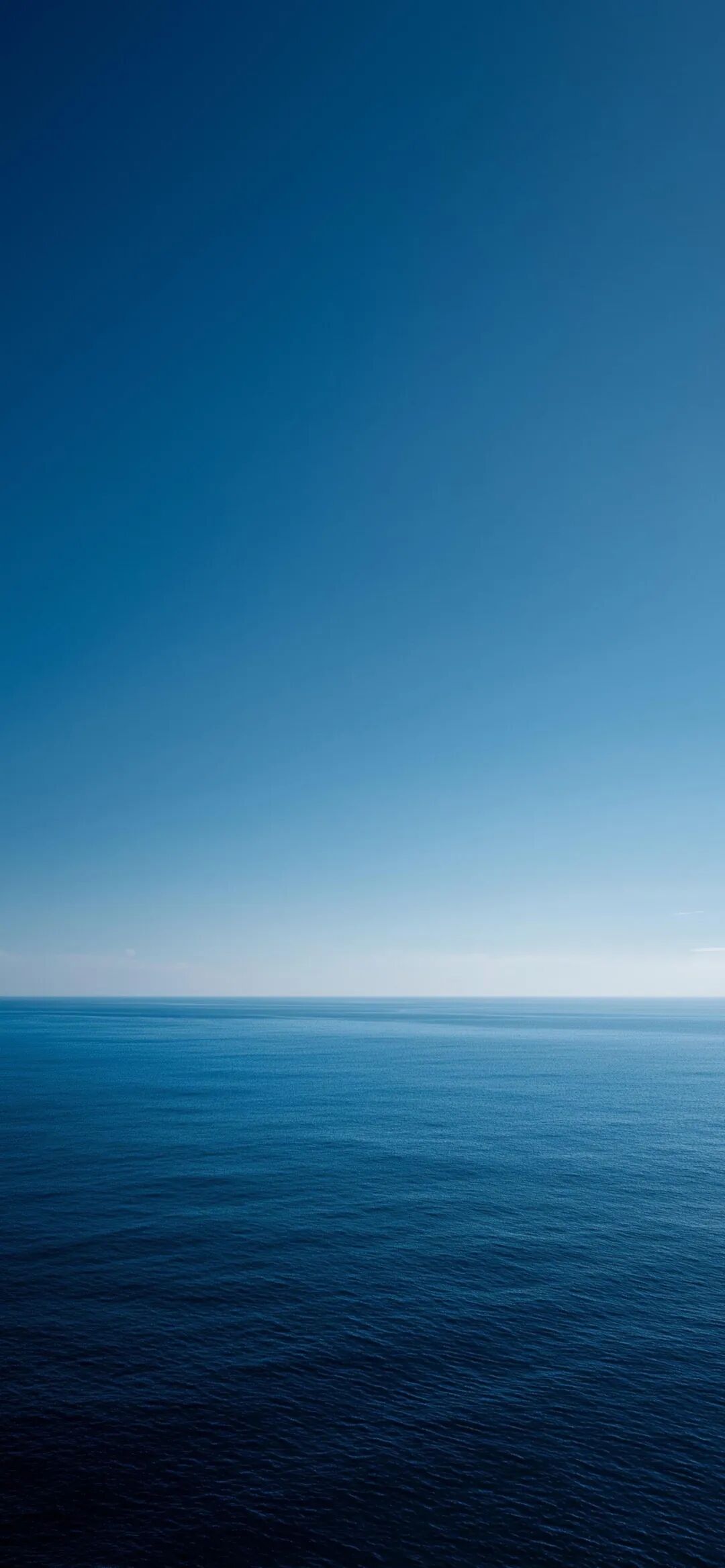 图片[9]-鸿运当头丨高清壁纸-淘零网