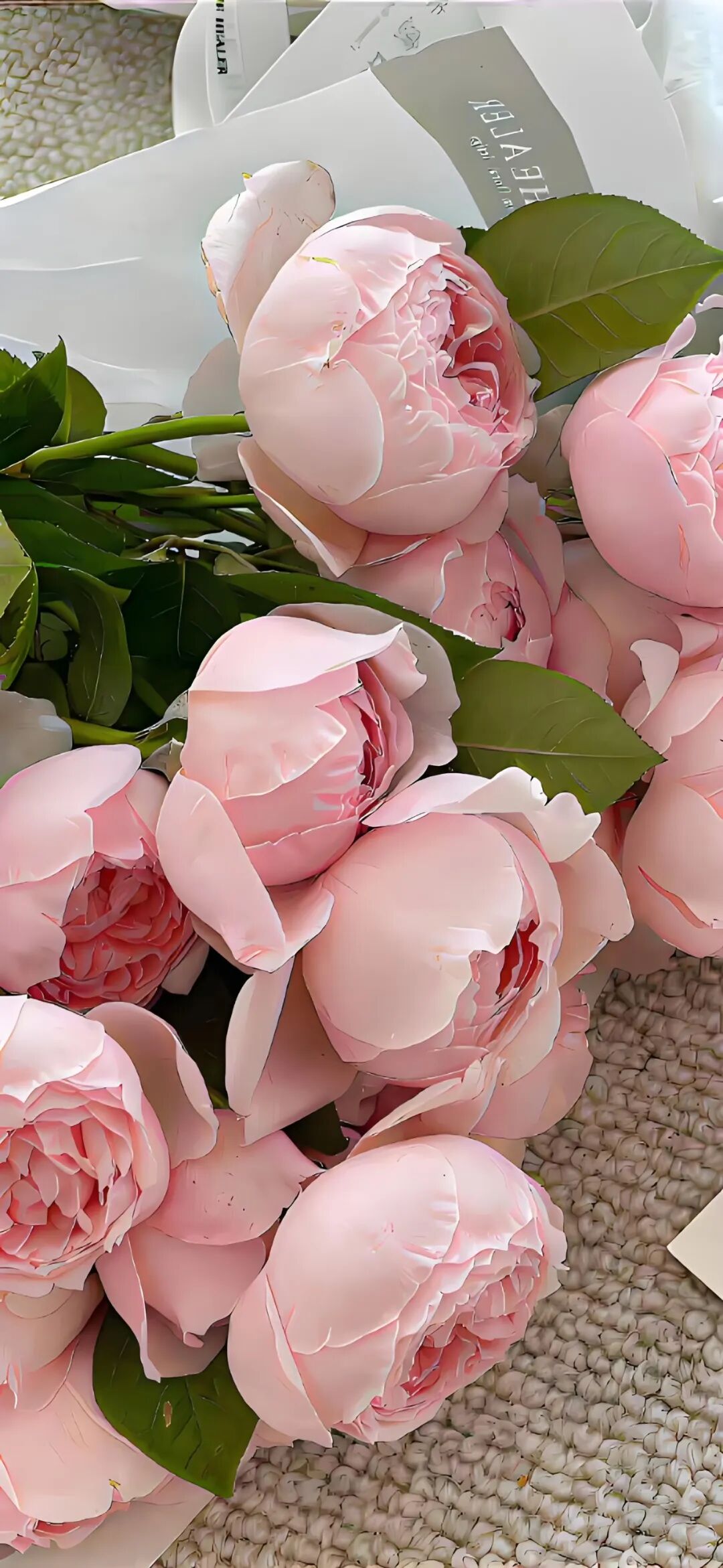 图片[1]-爱上一整个秋天｜4k 手机壁纸-淘零网