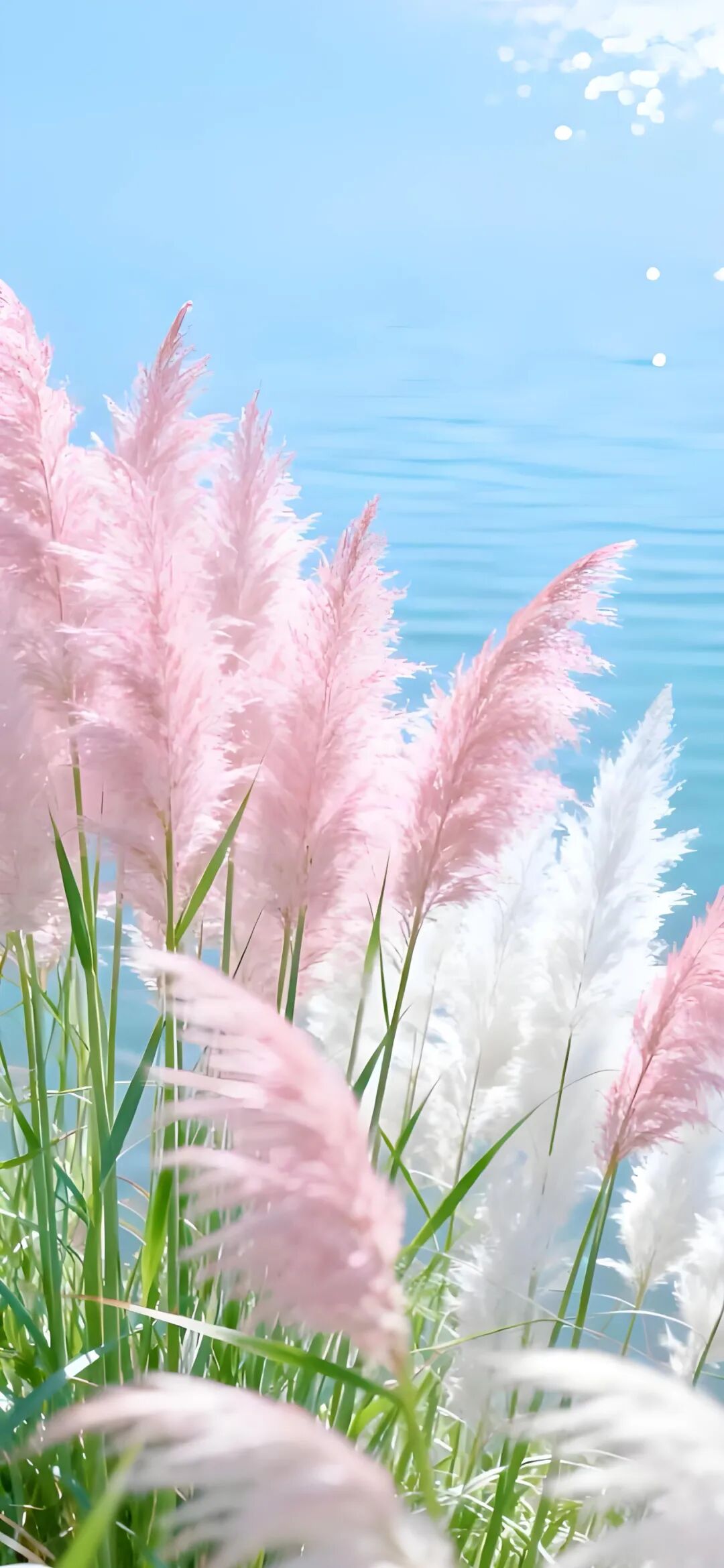 图片[3]-爱上一整个秋天｜4k 手机壁纸-淘零网