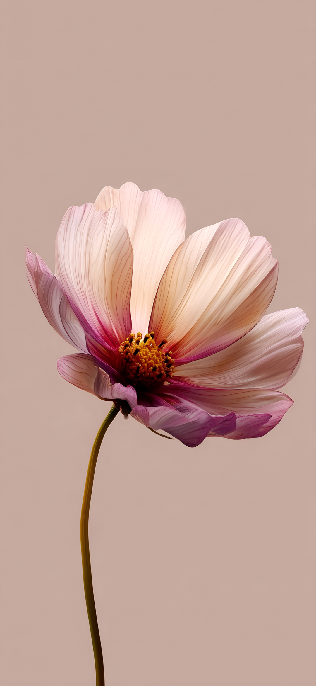 图片[5]-8k高清| 令人惊叹 超高清壁纸-淘零网