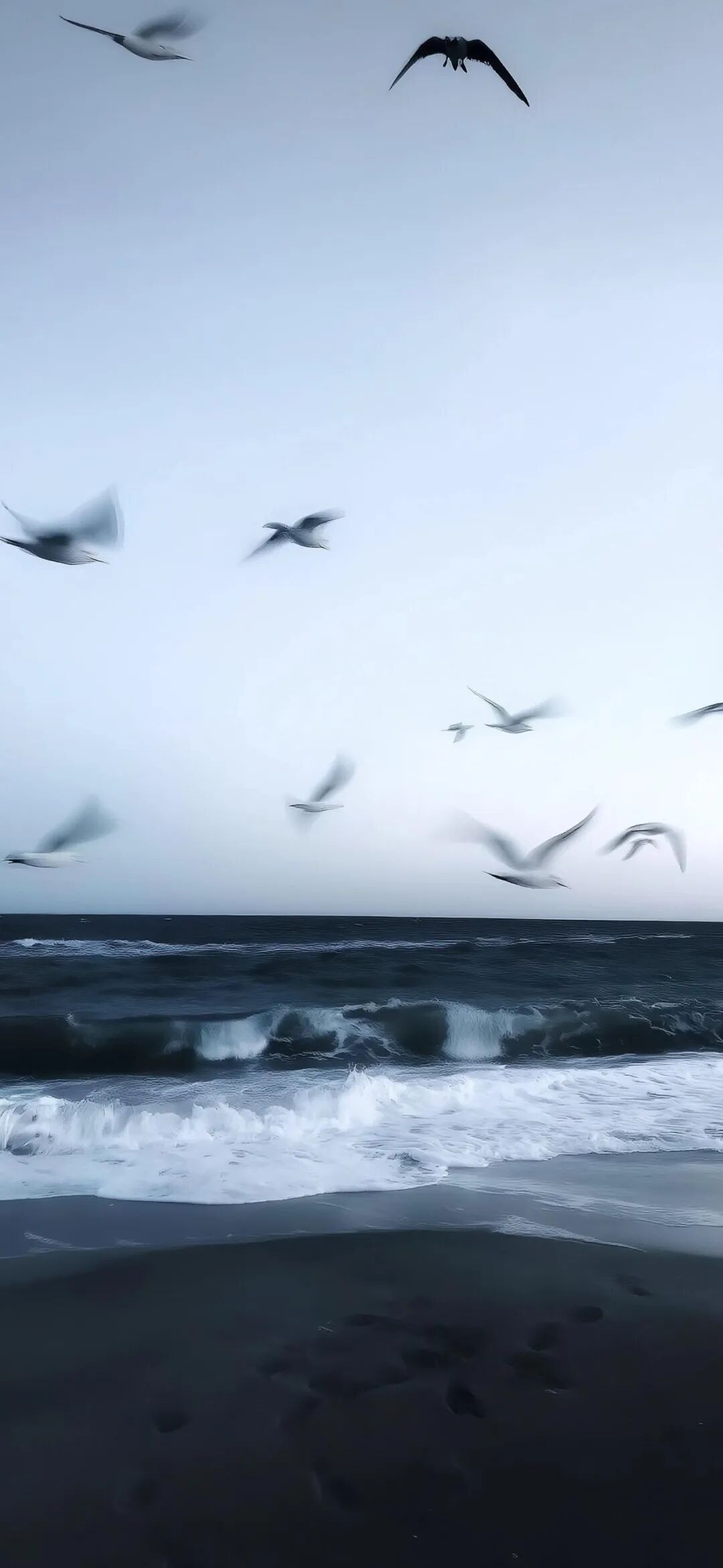 图片[6]-盼我多金也盼我开心丨高清壁纸-淘零网