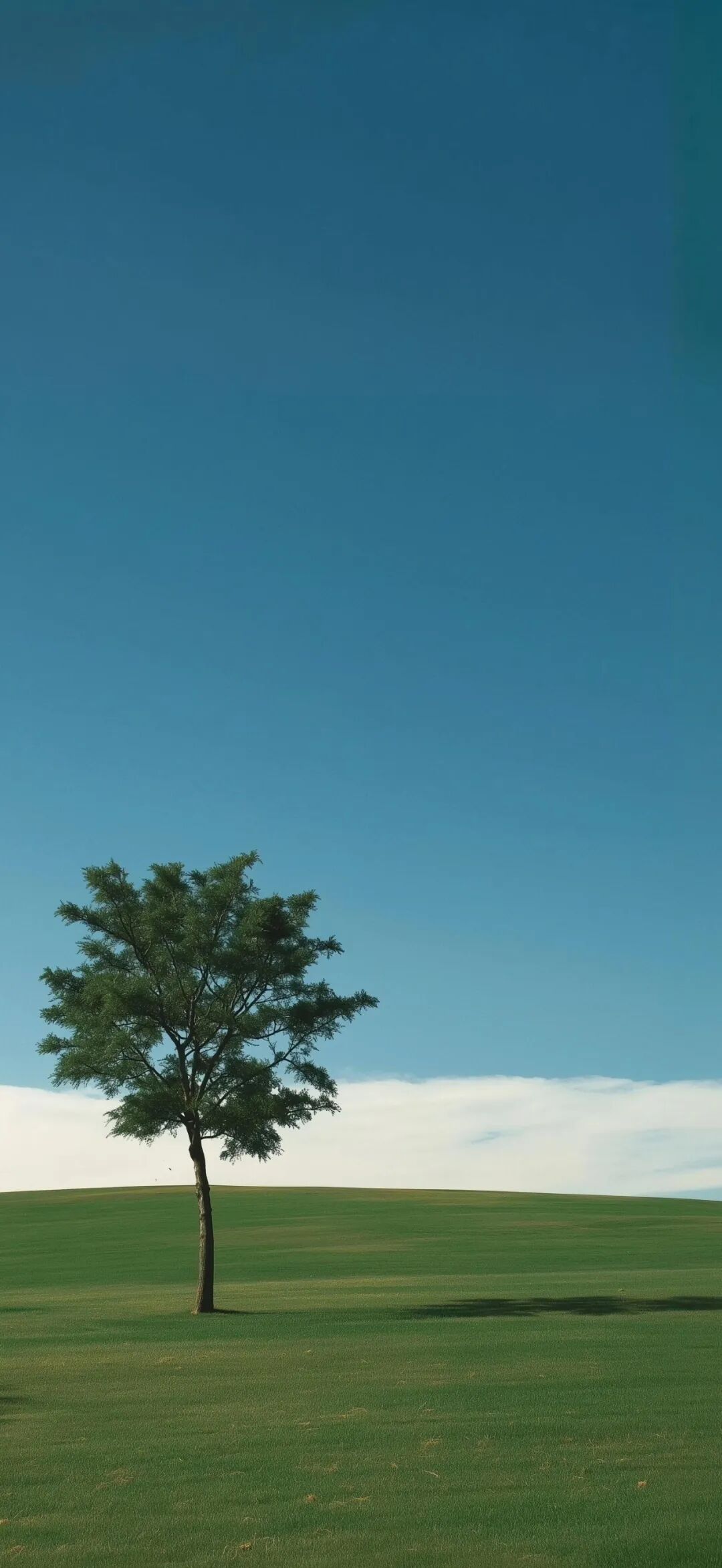 图片[10]-盼我多金也盼我开心丨高清壁纸-淘零网