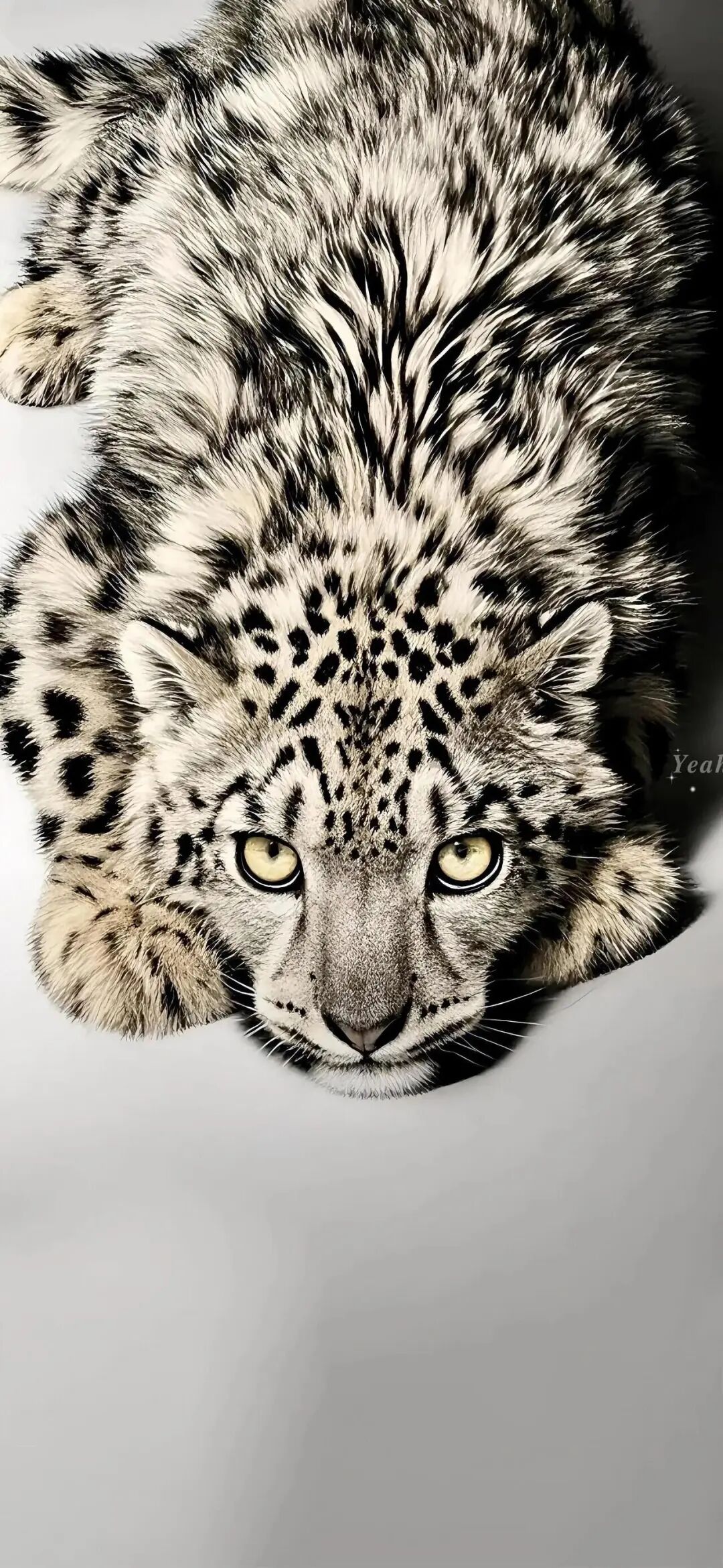 图片[11]-盼我多金也盼我开心丨高清壁纸-淘零网