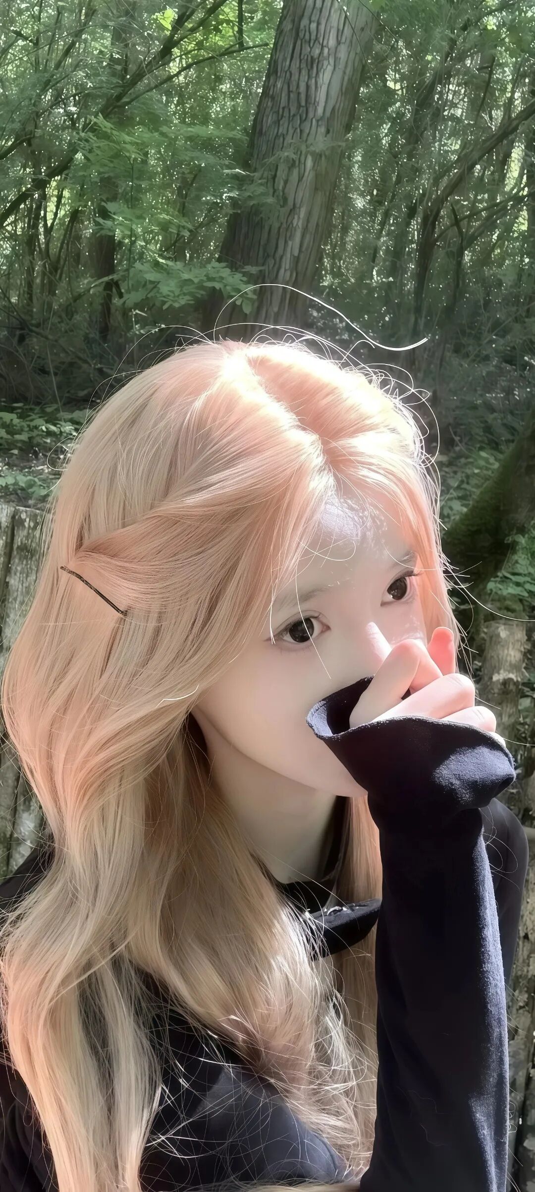 图片[23]-tao0| 超清8k无水印壁纸原图-淘零网