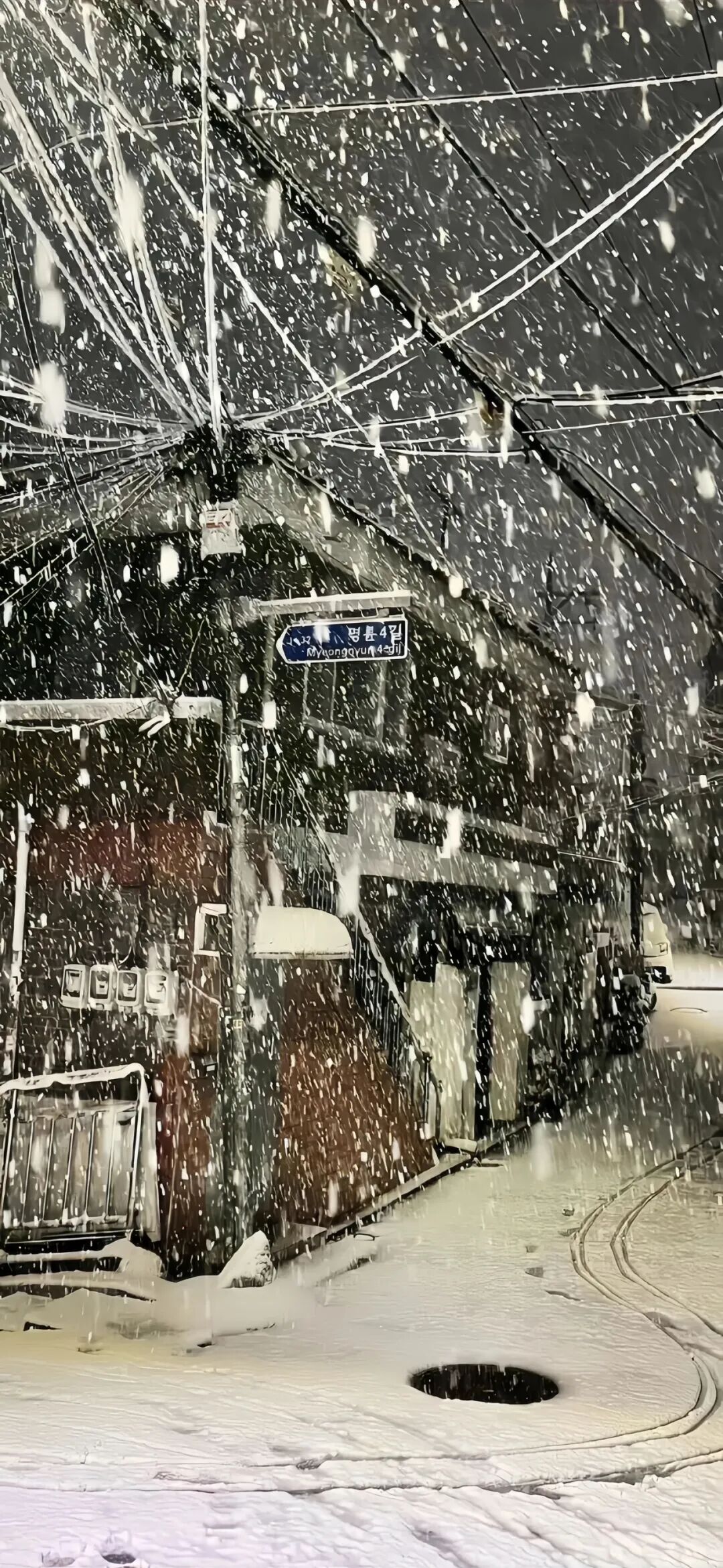 图片[59]-Tao0 | 高清手机壁纸全屏8K-淘零网