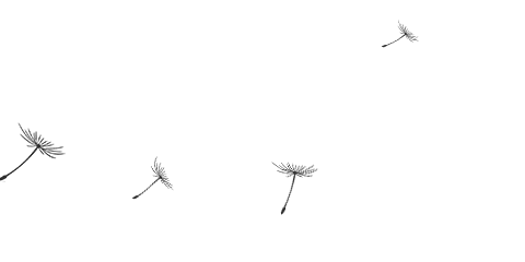 图片[15]-星空 美女 火灵儿 山月 厚涂 二次元-淘零网