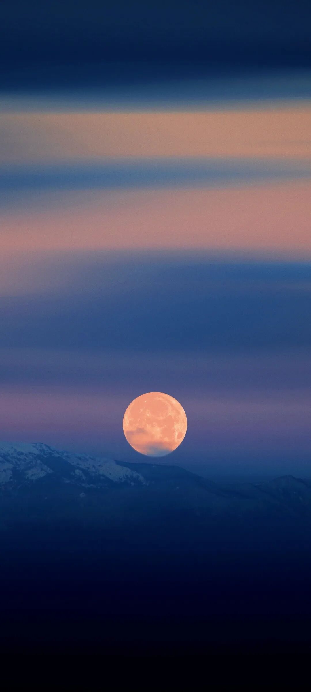 图片[4]-星空 美女 火灵儿 山月 厚涂 二次元-淘零网