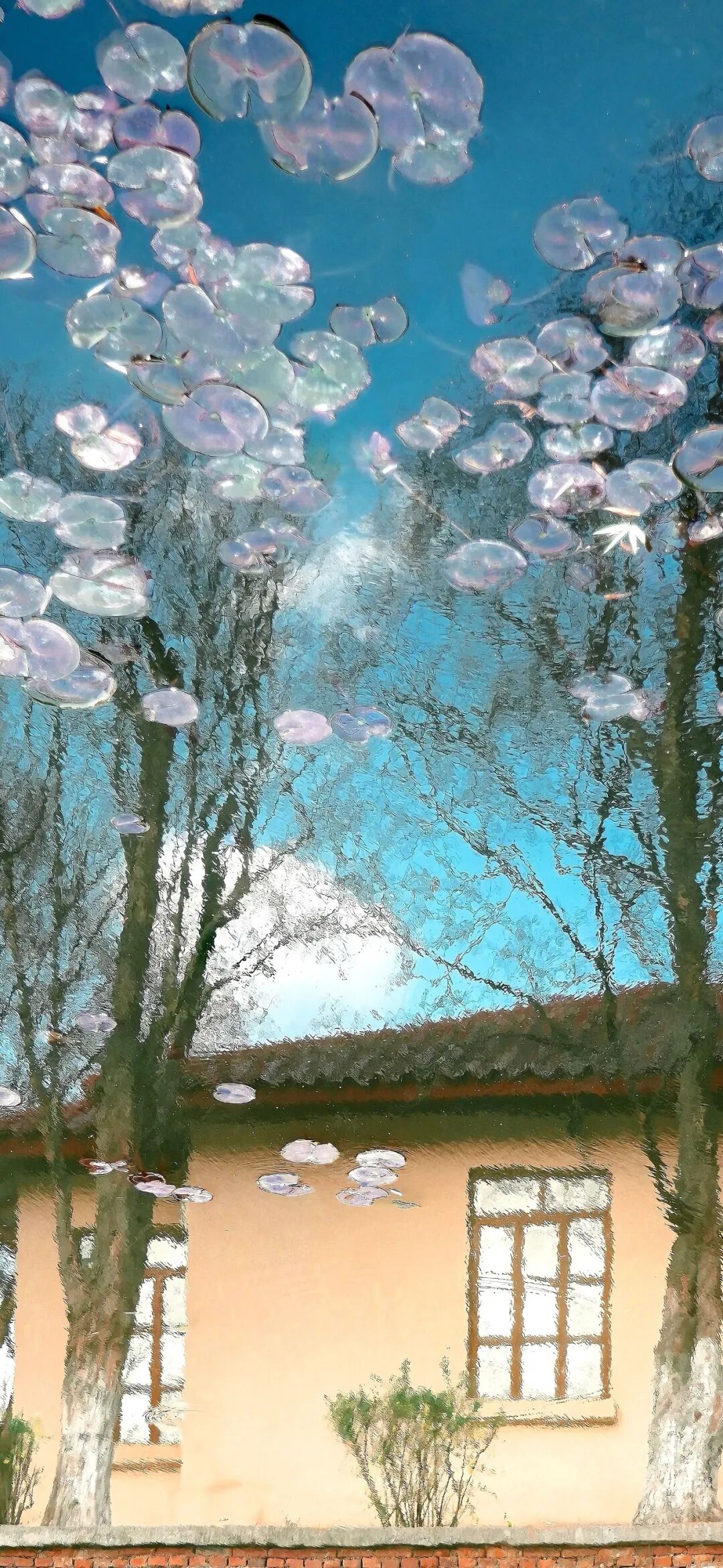 图片[35]-iOS17深景壁纸（4K超清）-淘零网