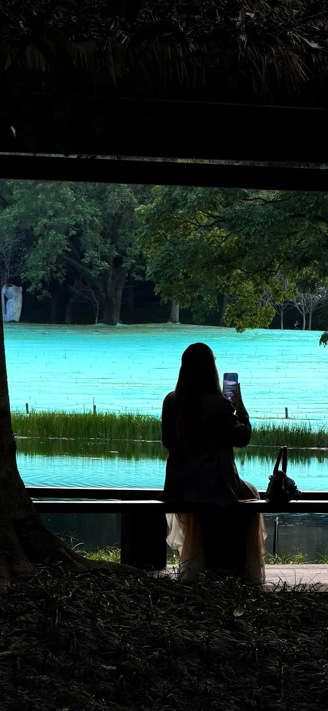 图片[38]-iOS17深景壁纸（4K超清）-淘零网