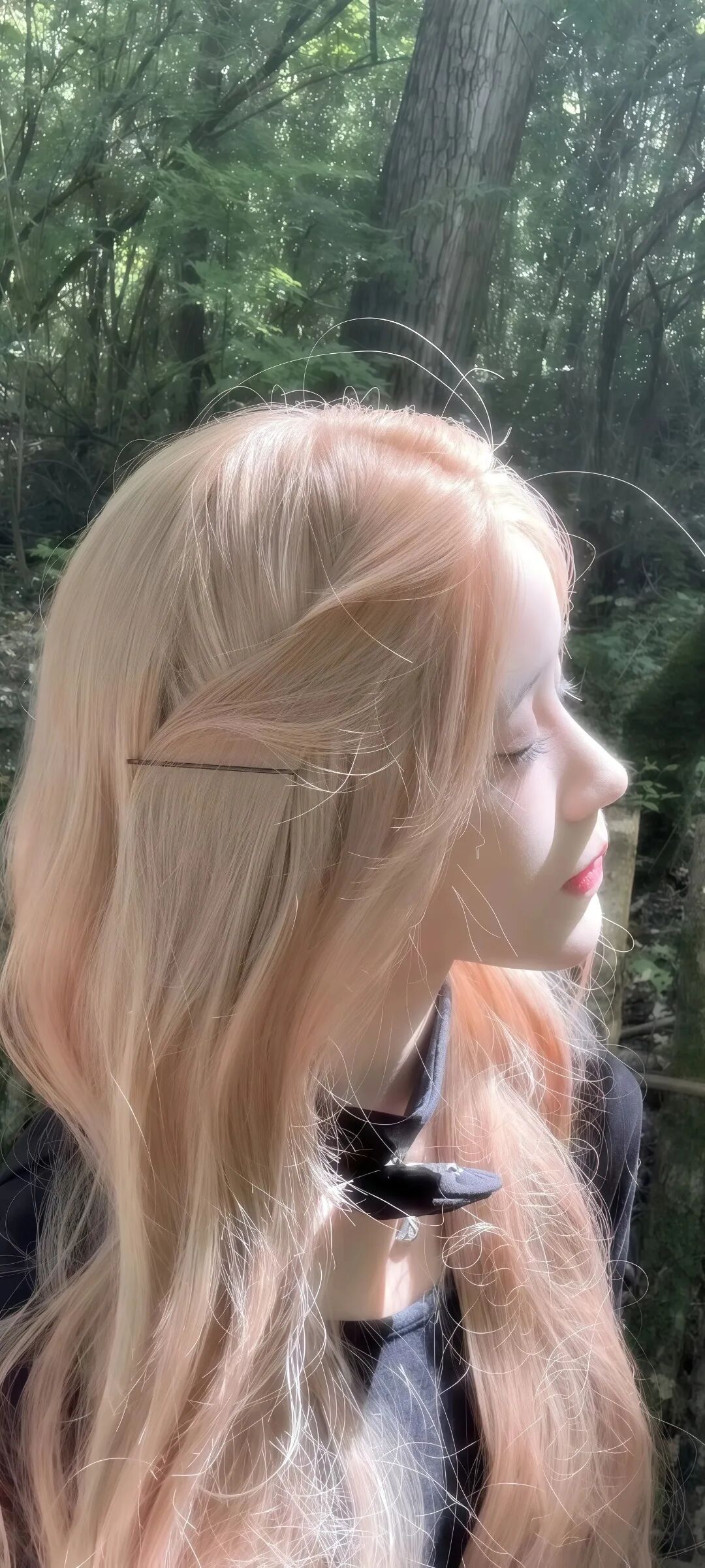 图片[2]-tao0| 超清8k无水印壁纸原图-淘零网