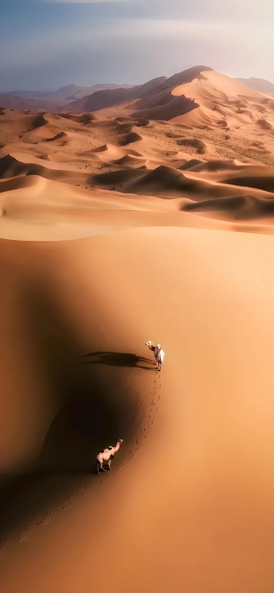 图片[1]-很耐看的一组壁纸-淘零网