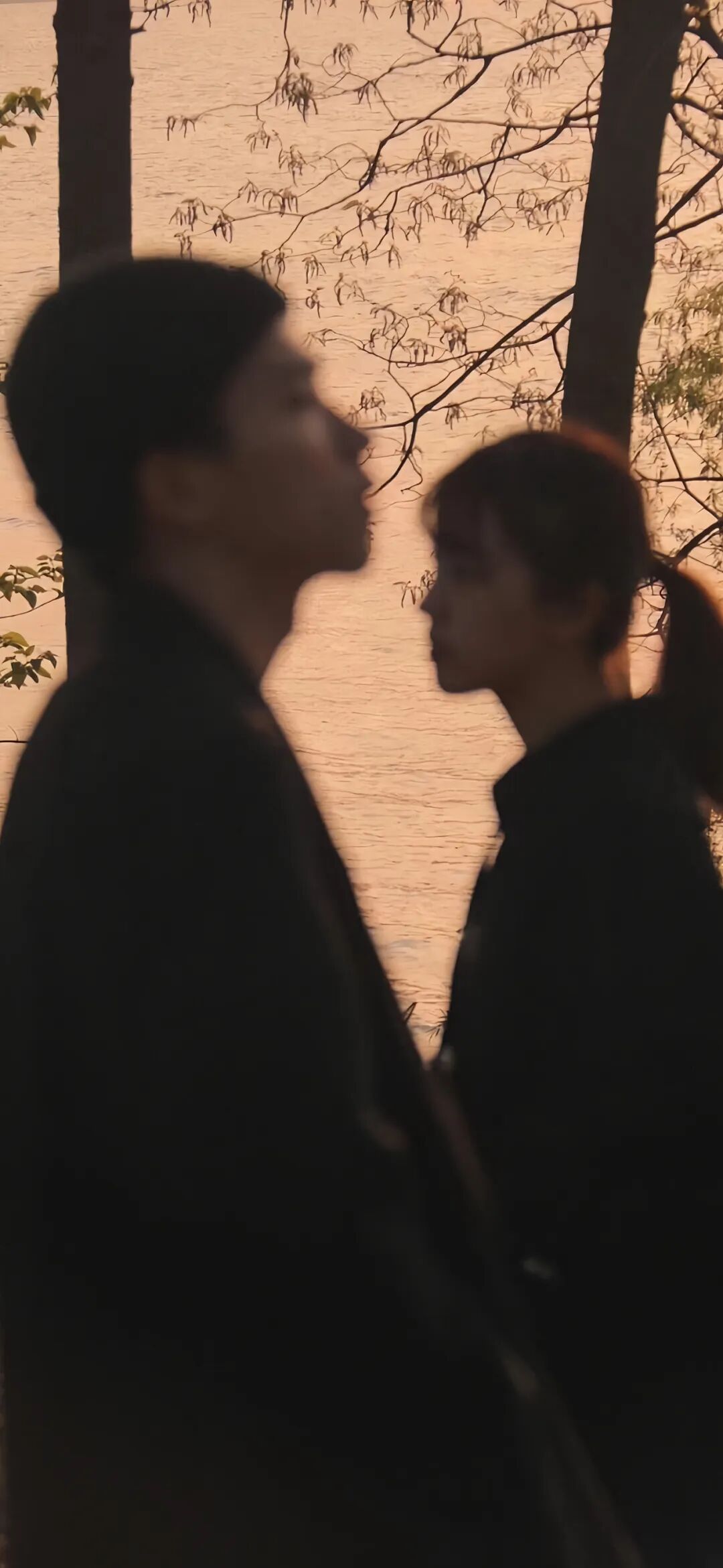 图片[11]-Tao0 | 高清手机壁纸全屏8K-淘零网