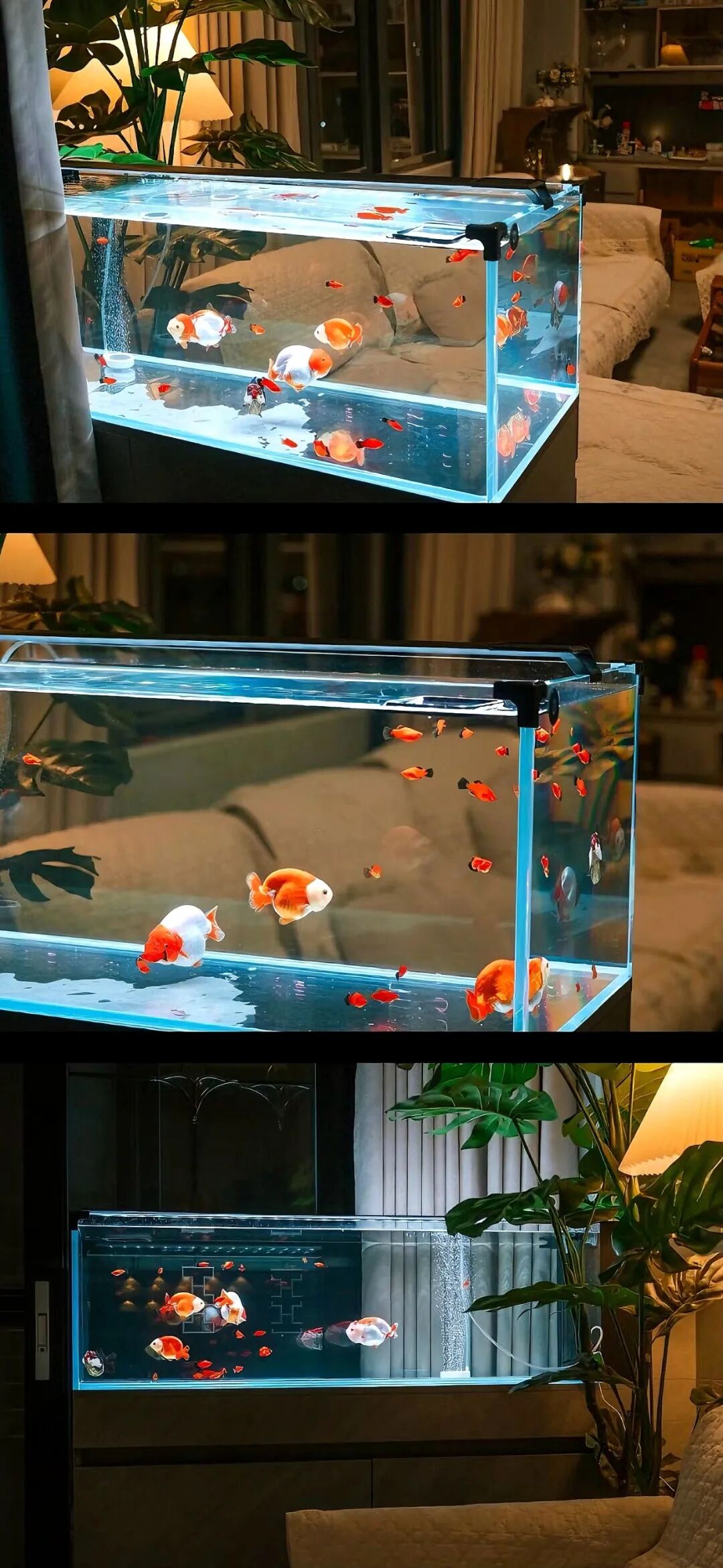 图片[37]-iOS17深景壁纸（4K超清）-淘零网