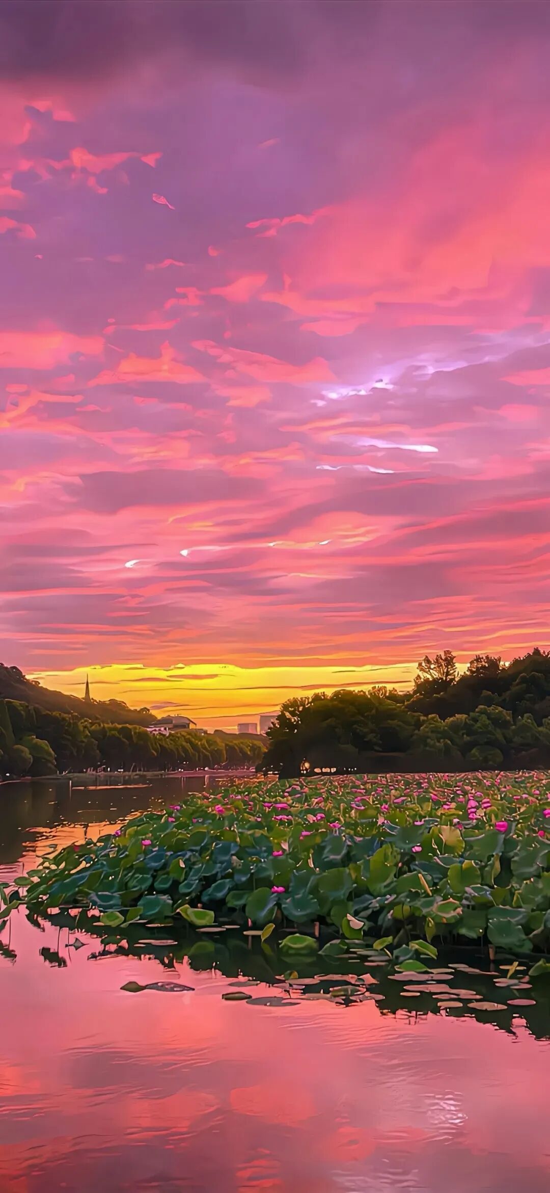 图片[40]-Tao0 | 高清手机壁纸全屏8K-淘零网