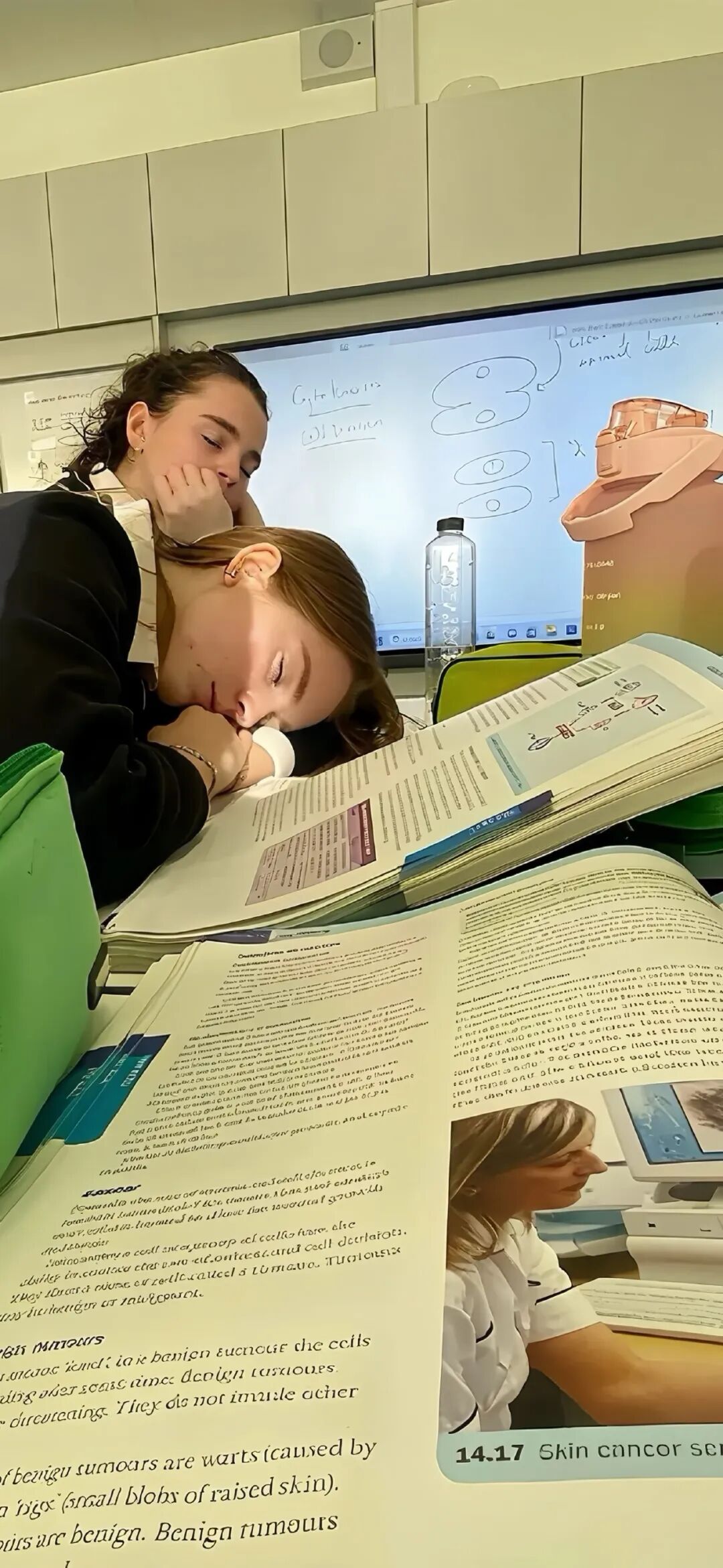 图片[52]-Tao0 | 高清手机壁纸全屏8K-淘零网