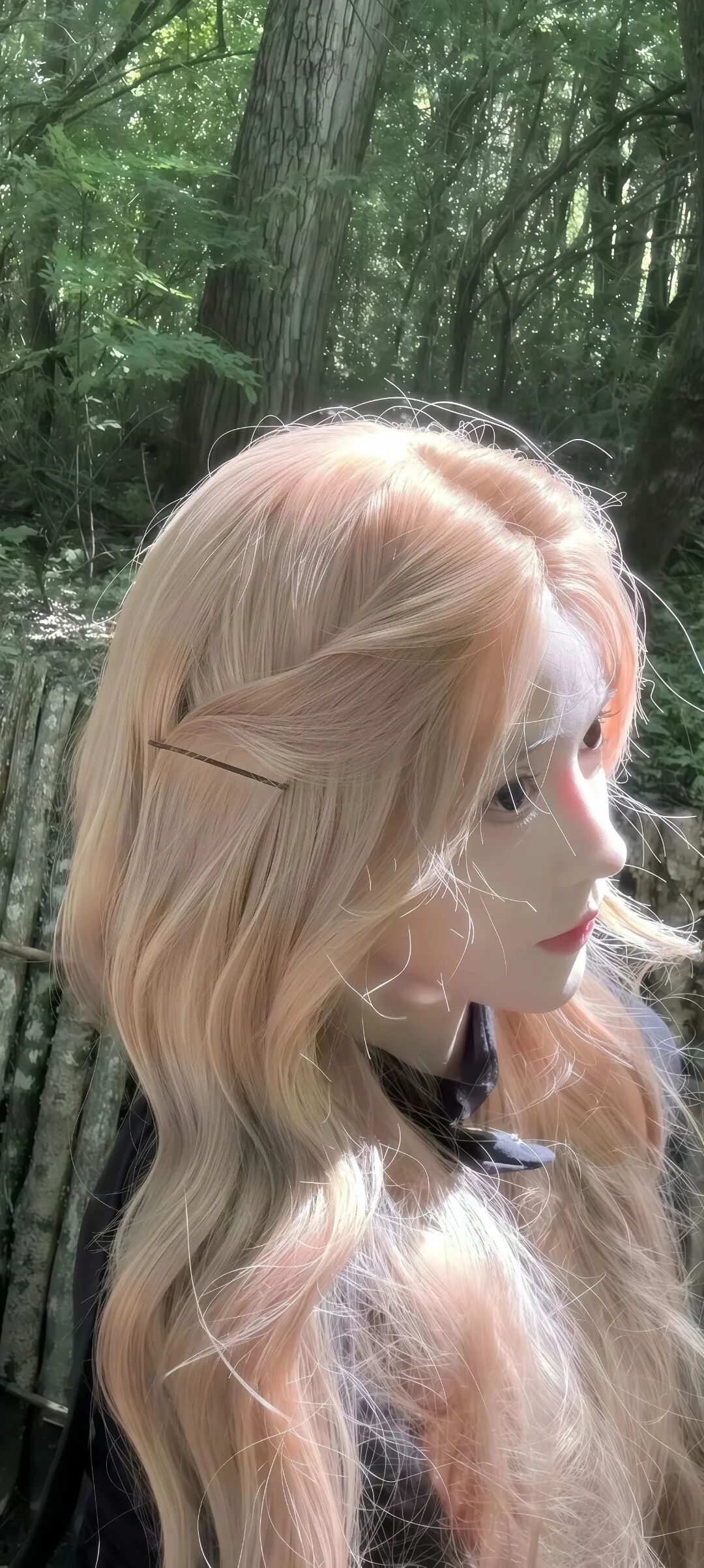 图片[4]-tao0| 超清8k无水印壁纸原图-淘零网