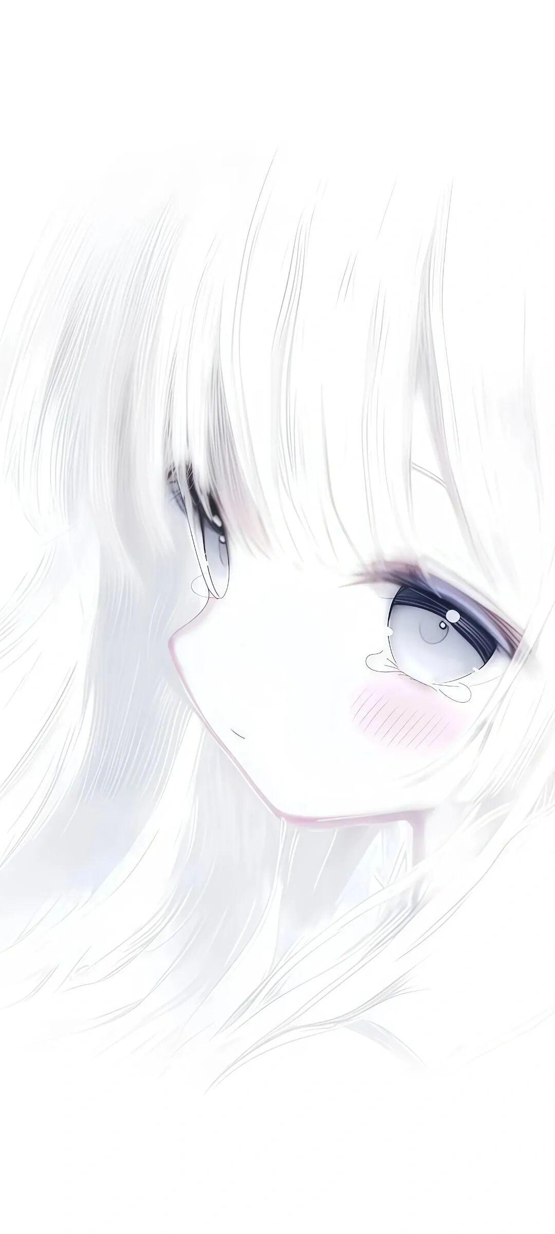 图片[13]-tao0 | 高清壁纸8k全屏120帧-淘零网