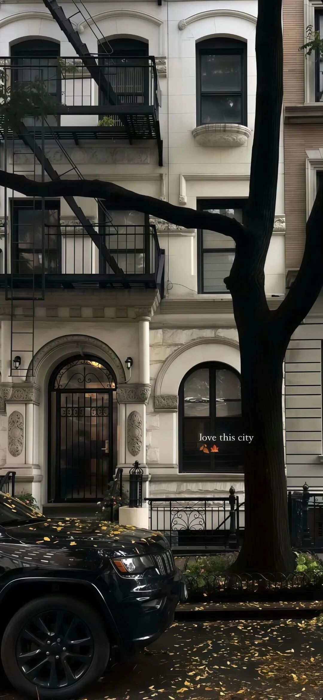 图片[12]-iOS17深景壁纸（4K超清）-淘零网