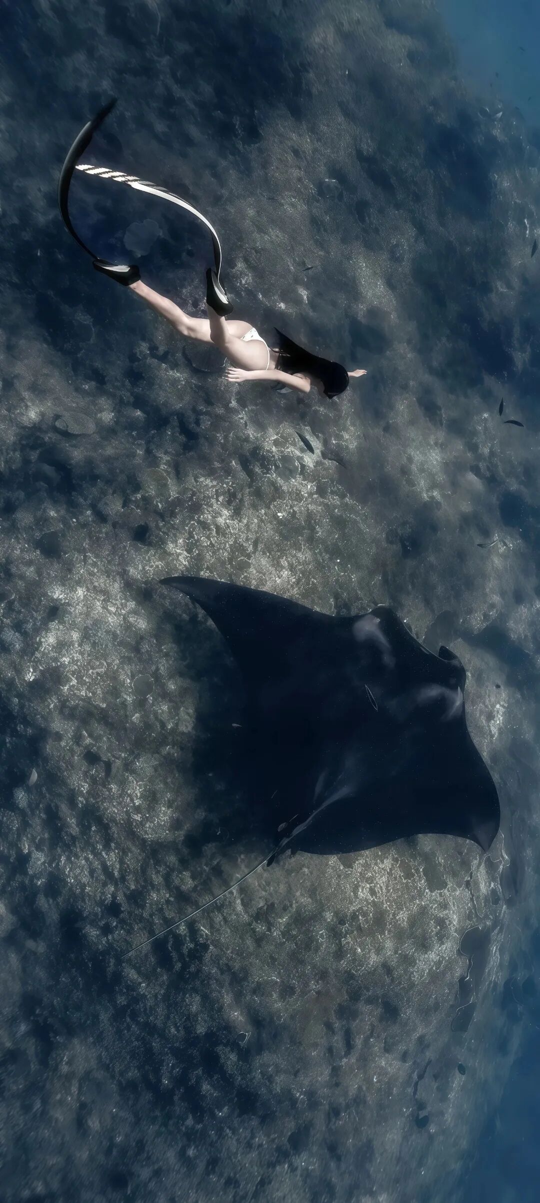 图片[34]-tao0| 超清8k无水印壁纸原图-淘零网